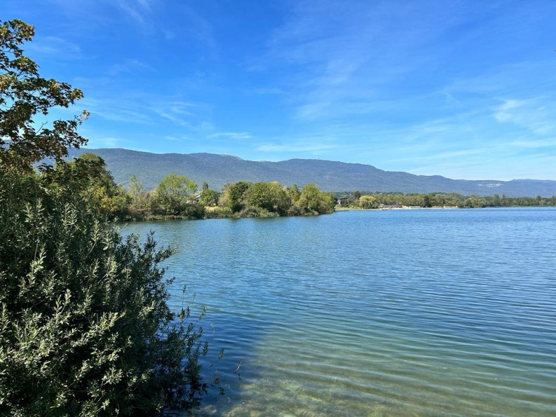 vente Appartement en frais réduits Evian Les Bains - Photo 2