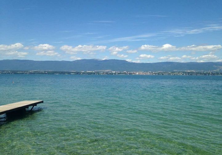 for sale Appartement en frais réduits Evian Les Bains