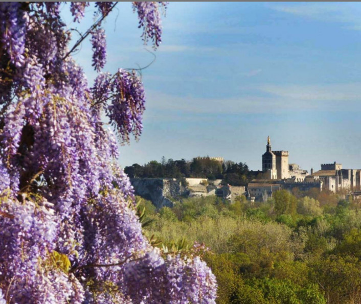 for sale Appartement en frais réduits Villeneuve Les Avignon - Photo 2