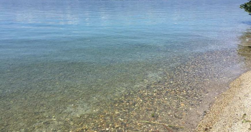 vente Appartement en frais réduits Ferney Voltaire