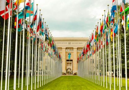 vente Appartement en frais réduits Ferney Voltaire