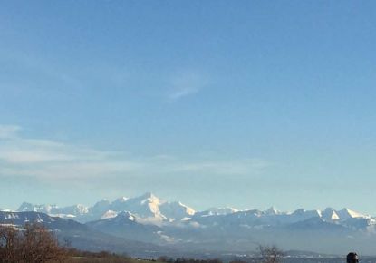 vente Appartement en frais réduits Ferney Voltaire