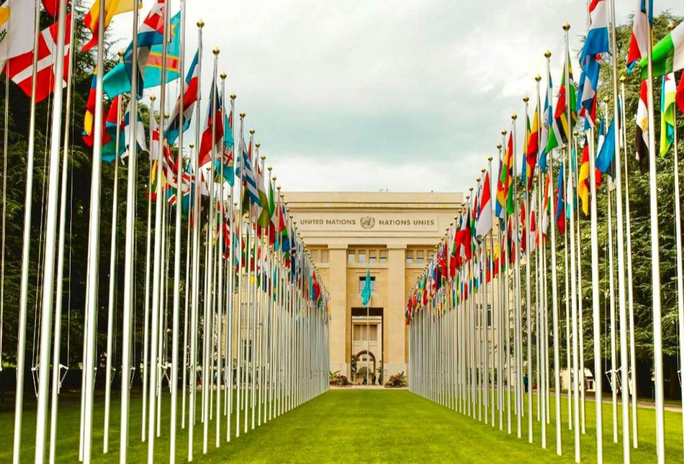 vente Appartement en frais réduits Ferney Voltaire - Photo 2