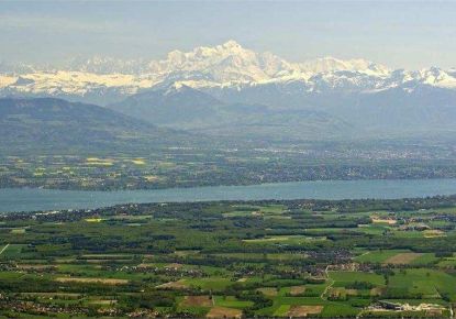 vente Appartement en frais réduits Ferney Voltaire