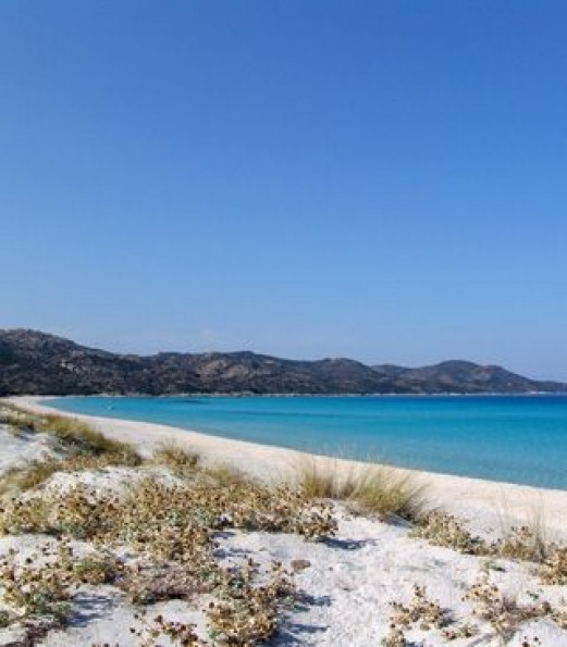 for sale Appartement en frais réduits Bastia - Photo 6