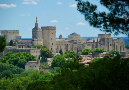 vente Appartement en frais réduits Villeneuve Les Avignon