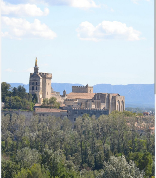 à vendre Appartement en frais réduits Villeneuve Les Avignon - Photo 3