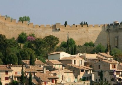 vente Appartement en frais réduits Villeneuve Les Avignon