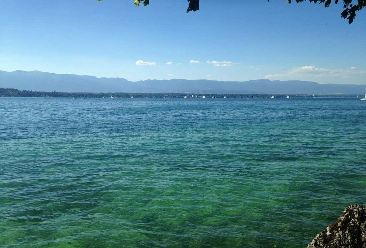 vente Appartement en frais réduits Saint Julien En Genevois - Photo 2