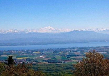 vente Appartement en frais réduits Ferney Voltaire