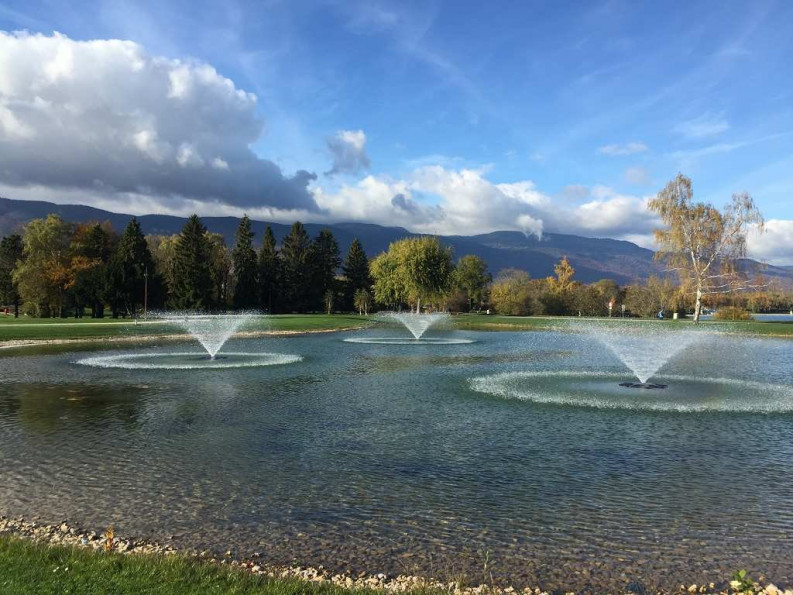 vente Maison à rénover Divonne Les Bains - Photo 2