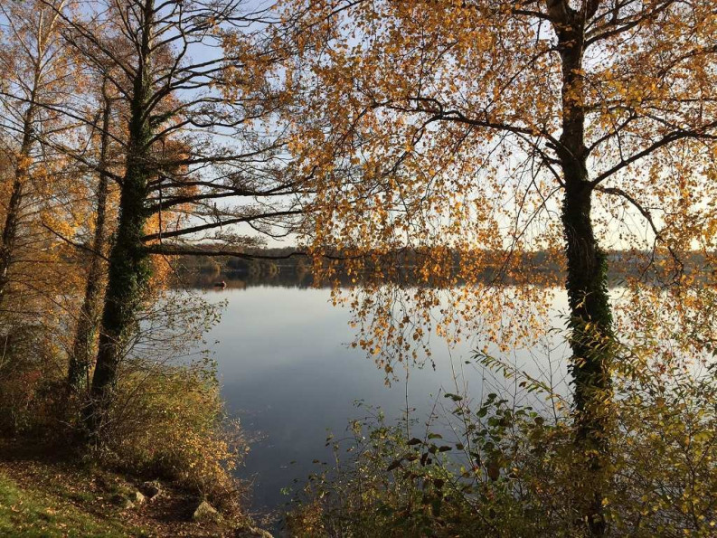 à vendre Appartement en frais réduits Segny - Photo 3