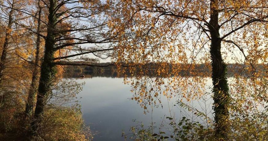 vente Appartement en frais réduits Segny