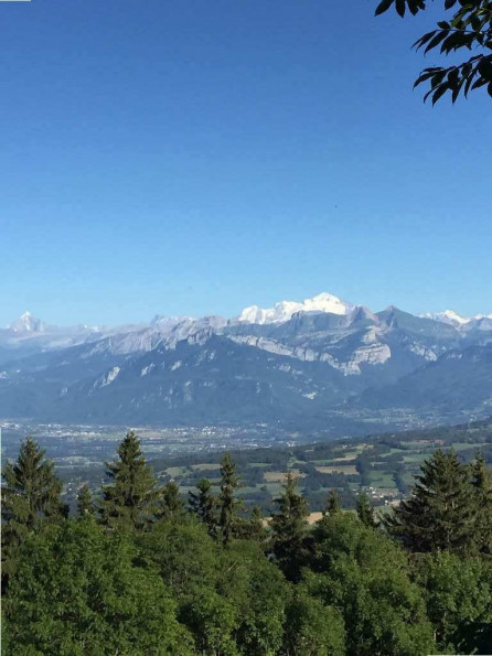 vente Appartement en frais réduits Segny - Photo 3