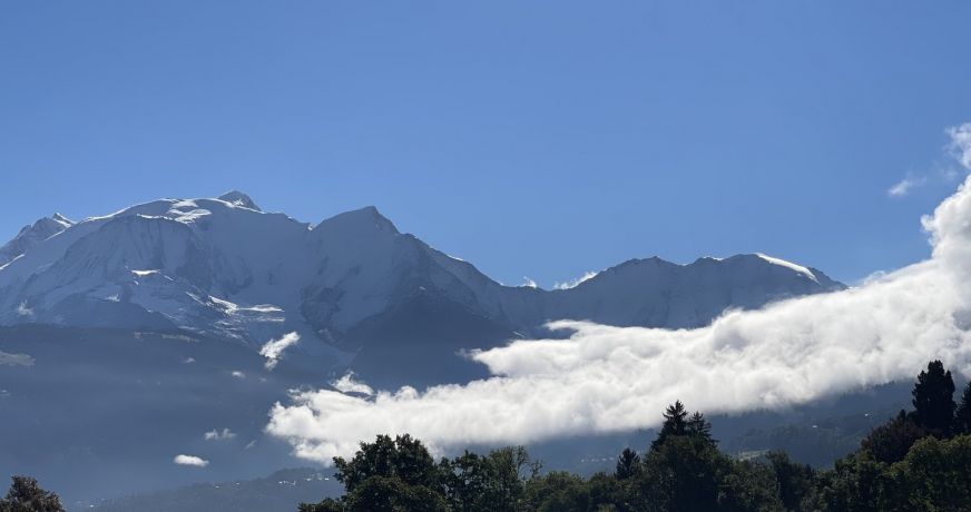 vente Appartement en frais réduits Megeve