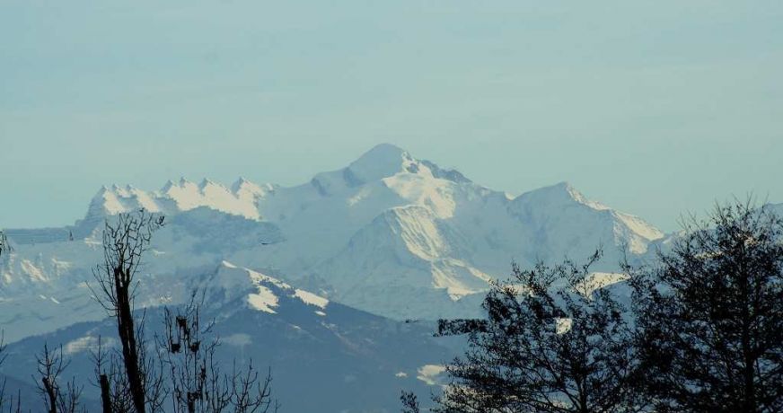 vente Appartement en frais réduits Ferney Voltaire