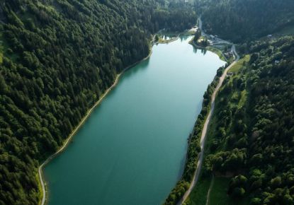 vente Appartement en frais réduits Montriond