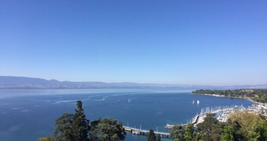 vente Appartement en frais réduits Thonon Les Bains