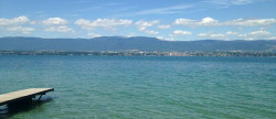 vente Appartement en frais réduits Evian Les Bains