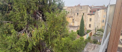 location Appartement terrasse Avignon