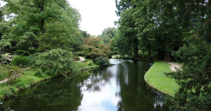 vente Appartement en frais réduits Chatenay Malabry
