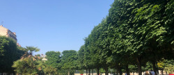 vente Appartement en frais réduits Montrouge