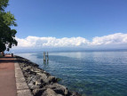 vente Appartement en frais réduits Evian Les Bains