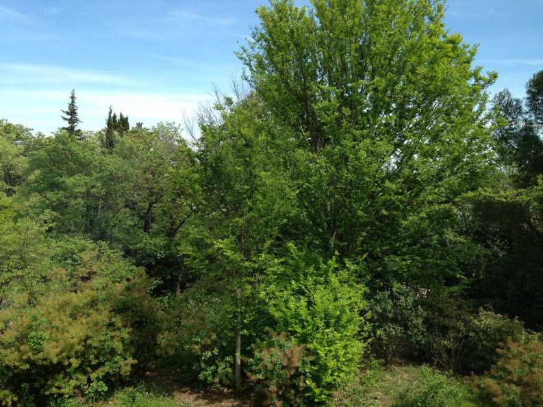 location Appartement en résidence Montpellier - Photo 3