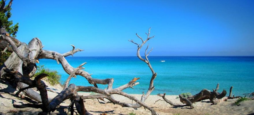 for sale Appartement en frais réduits Bastia - Photo 4