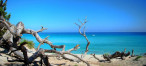 for sale Appartement en frais réduits Bastia