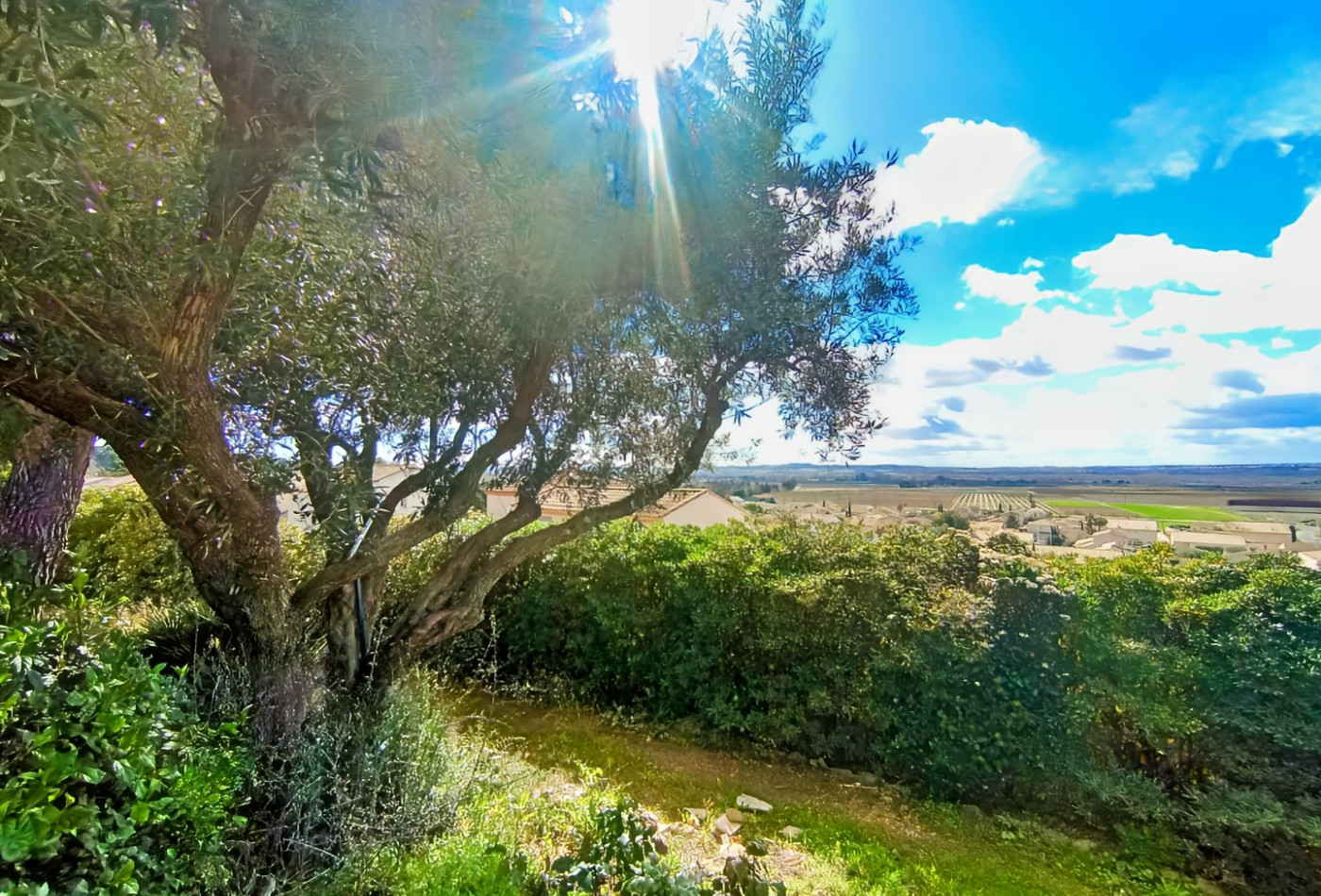 vente Maison de campagne Thezan Les Beziers - Photo 2