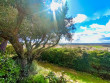 sale Maison de campagne Thezan Les Beziers