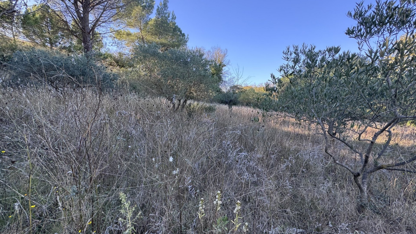 vente Terrain constructible Fontes - Photo 2