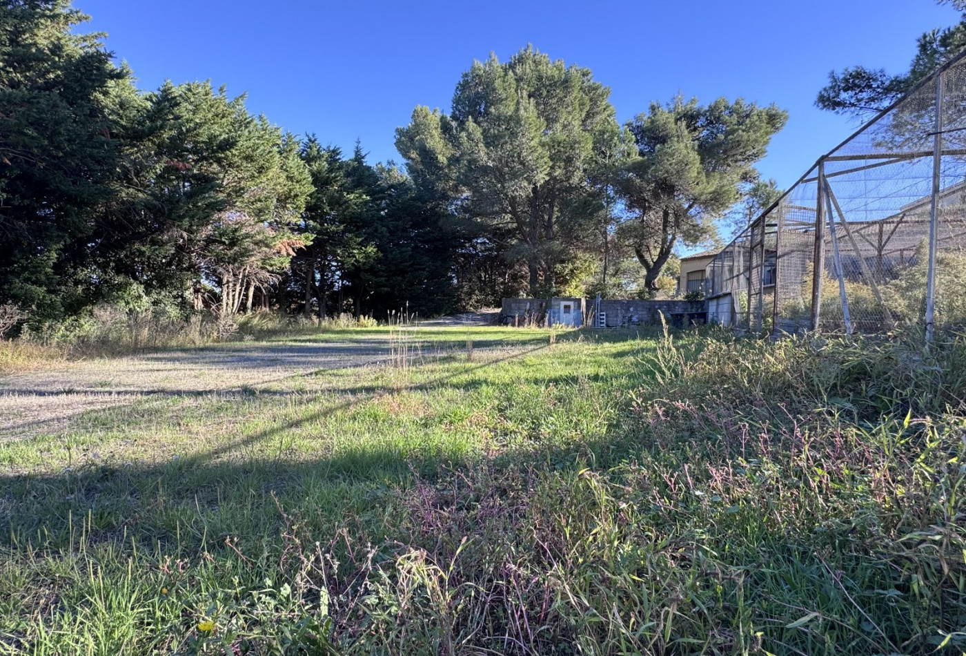 vente Terrain constructible Fontes - Photo 5