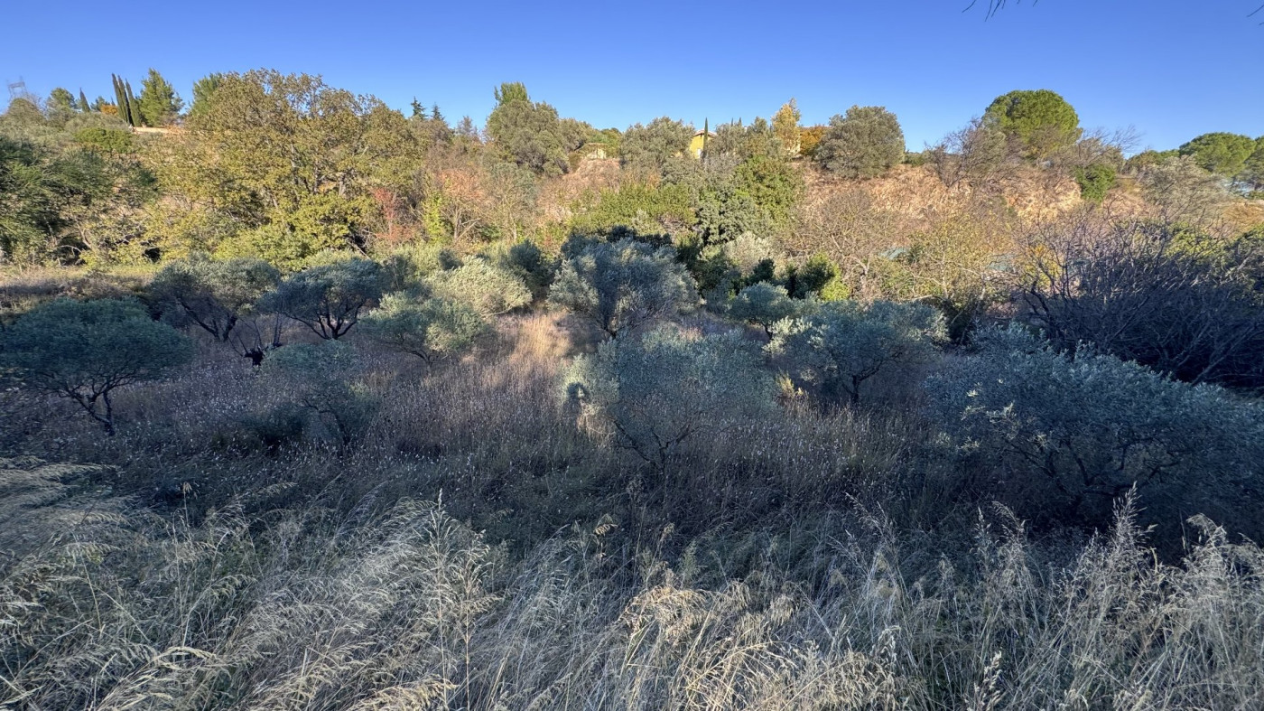 vente Terrain constructible Fontes - Photo 8