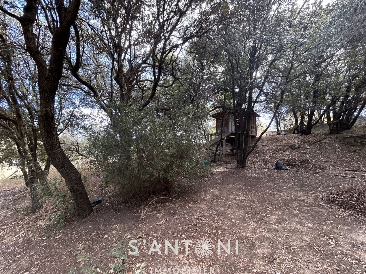 vente Terrain agricole Servian - Photo 12