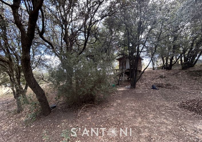 vente Terrain agricole Servian