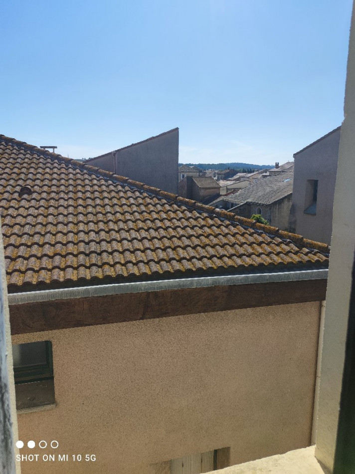 vente Maison bourgeoise Nissan Lez Enserune - Photo 10