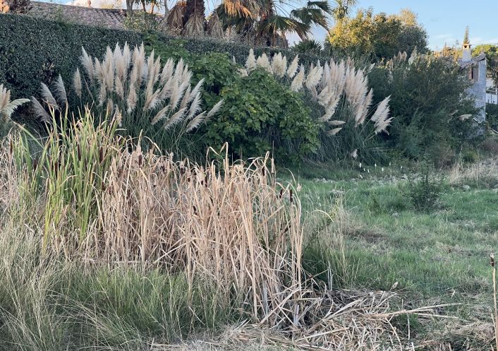 vente Terrain constructible Saint Genies De Fontedit