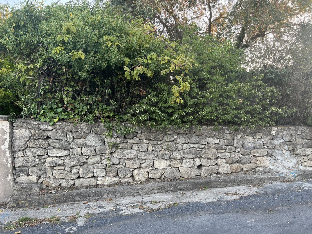 vente Terrain constructible Saint Genies De Fontedit - Photo 7