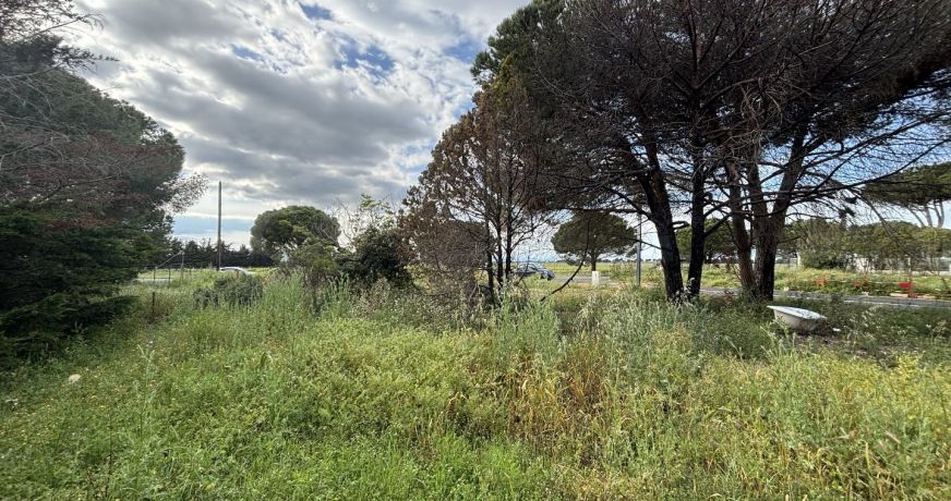vente Terrain Serignan