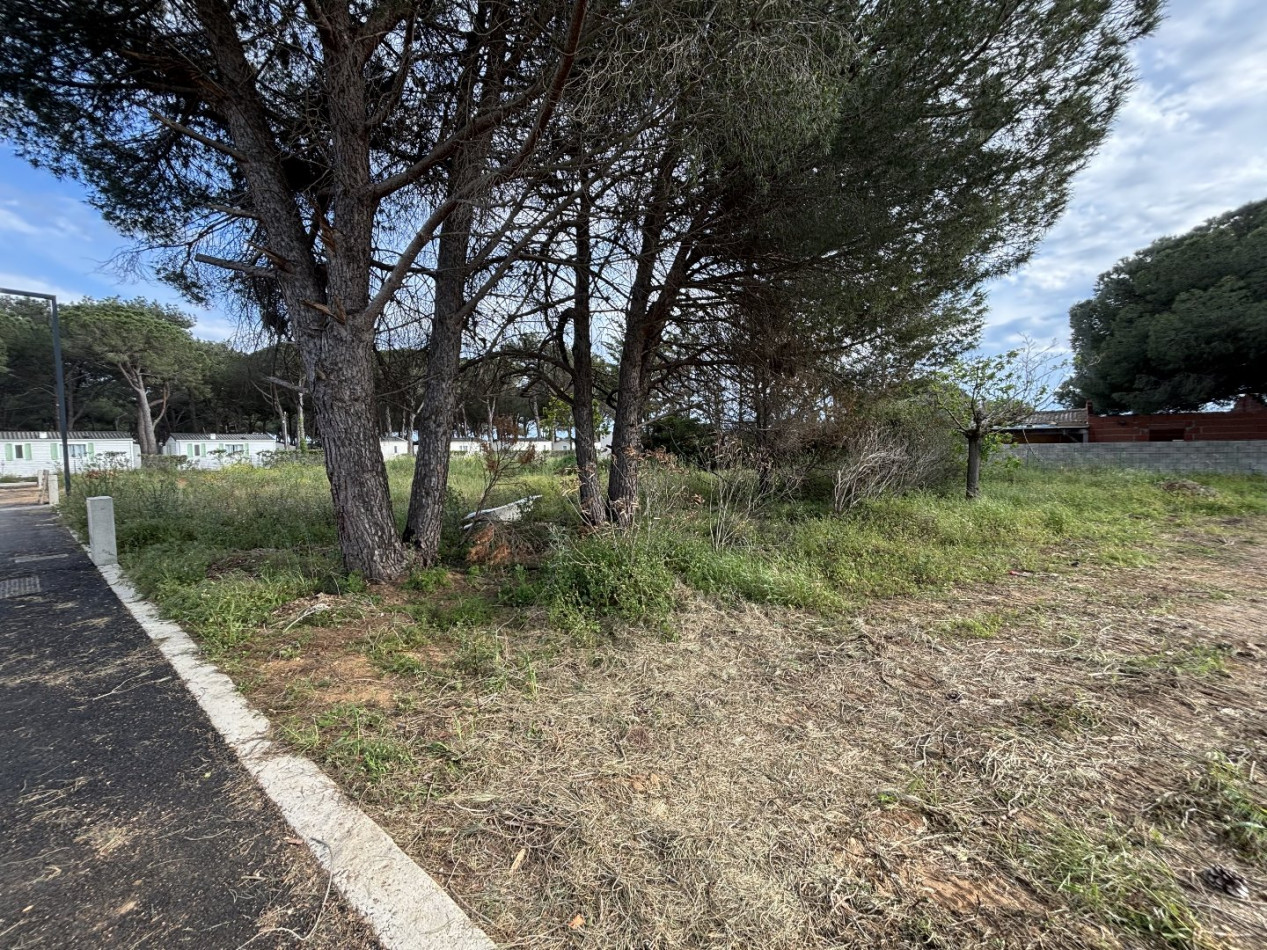 vente Terrain Serignan - Photo 3