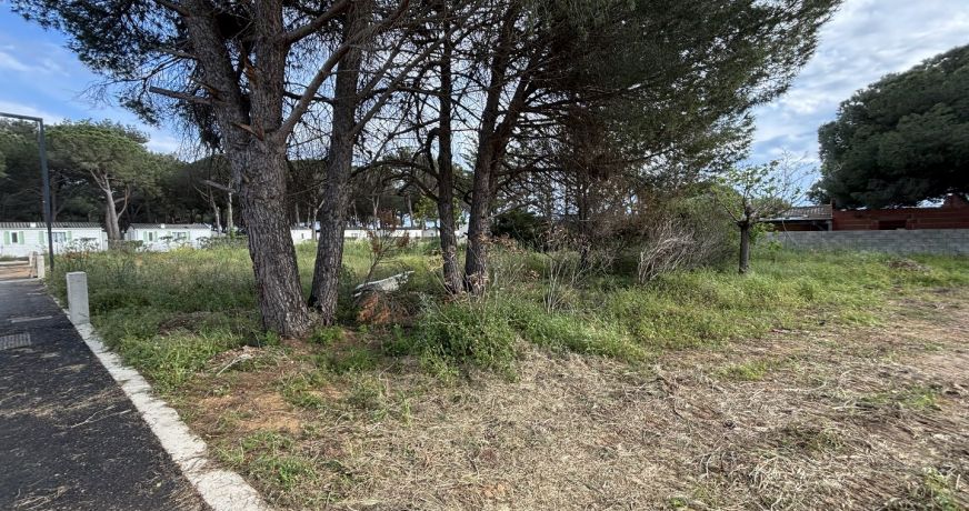 vente Terrain Serignan