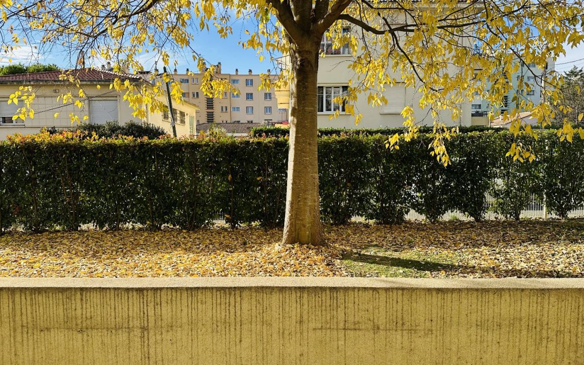 à louer Appartement Montpellier