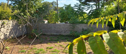 vente Terrain Castelnau Le Lez