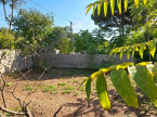 vente Terrain Castelnau Le Lez