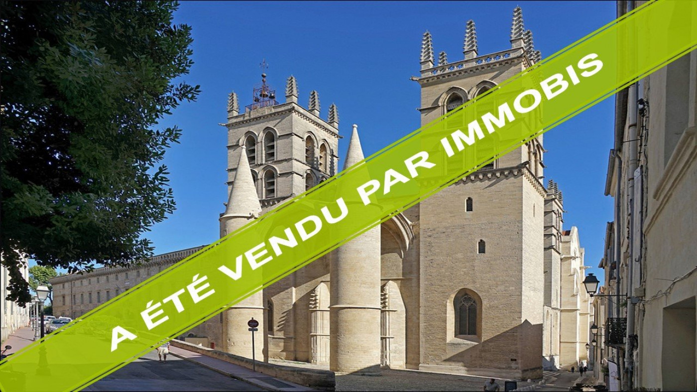 vente Appartement Montpellier - Photo 1
