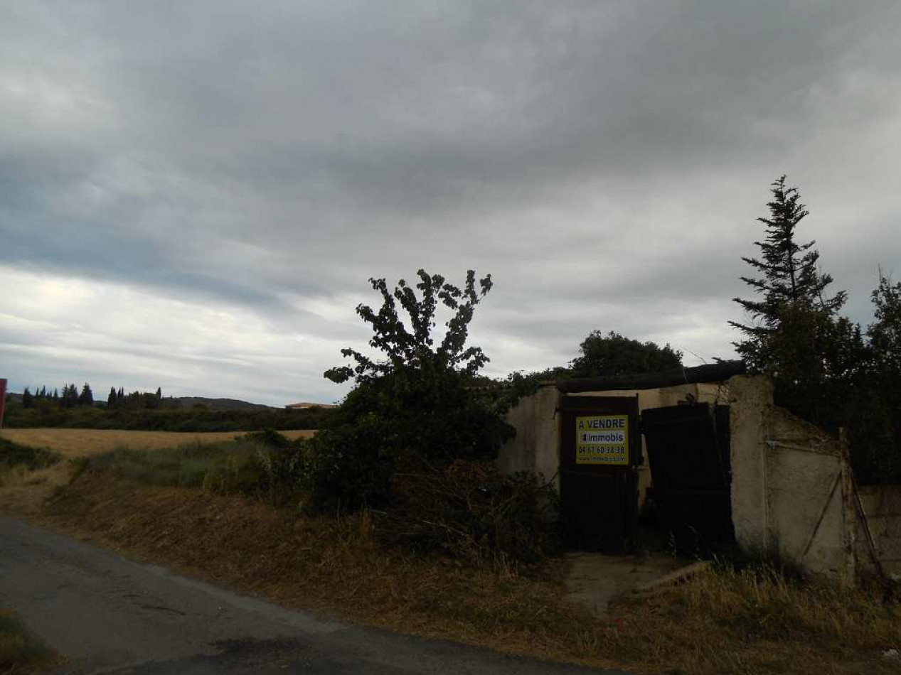 vente Terrain non constructible Gigean - Photo 1