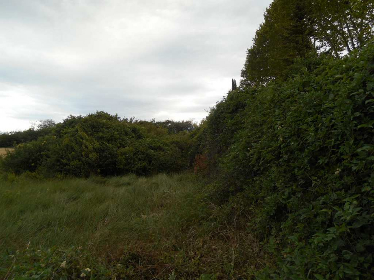 vente Terrain non constructible Gigean - Photo 3