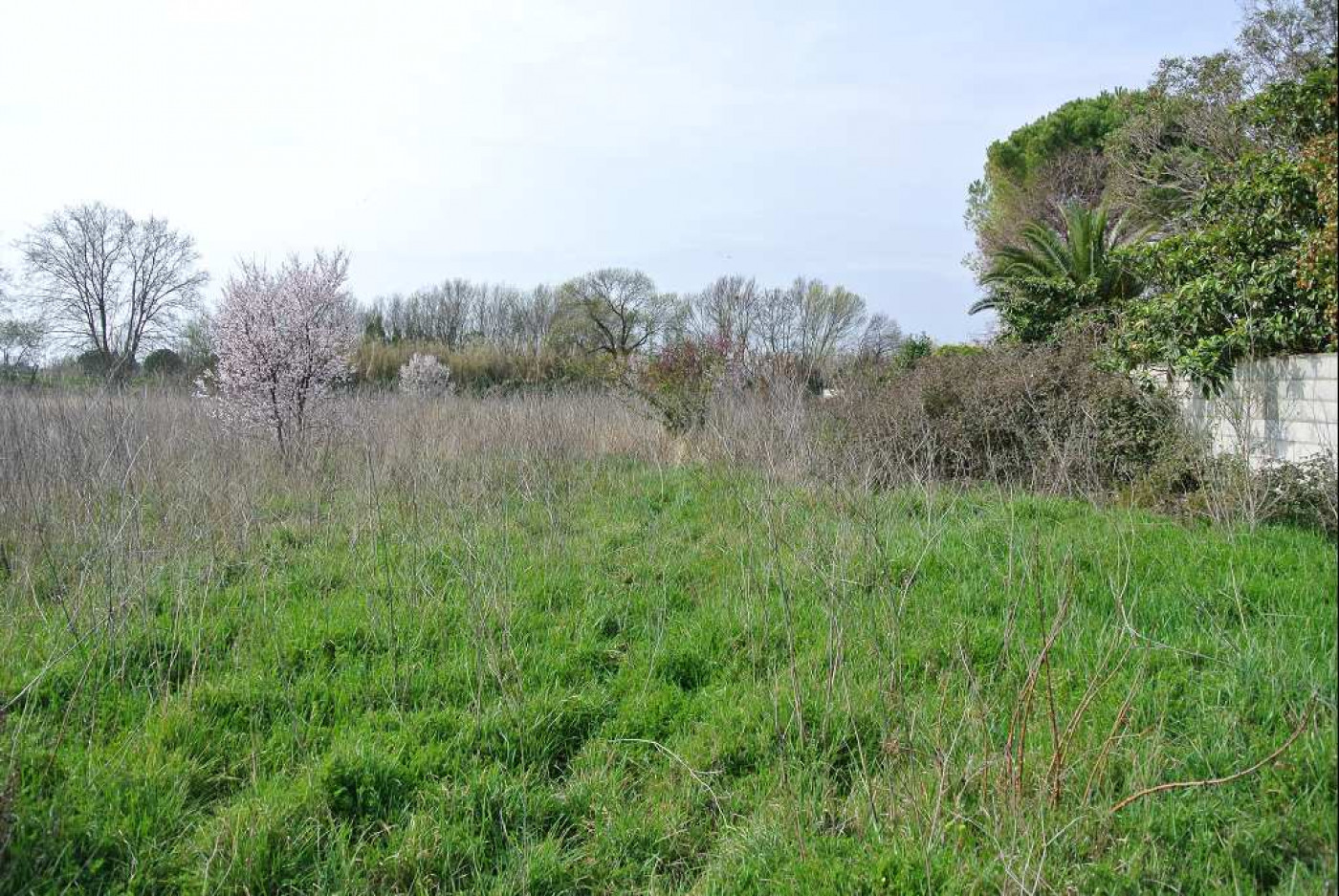 vente Terrain constructible Mauguio - Photo 2